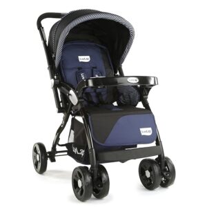 How to choose a stroller for a baby-pram